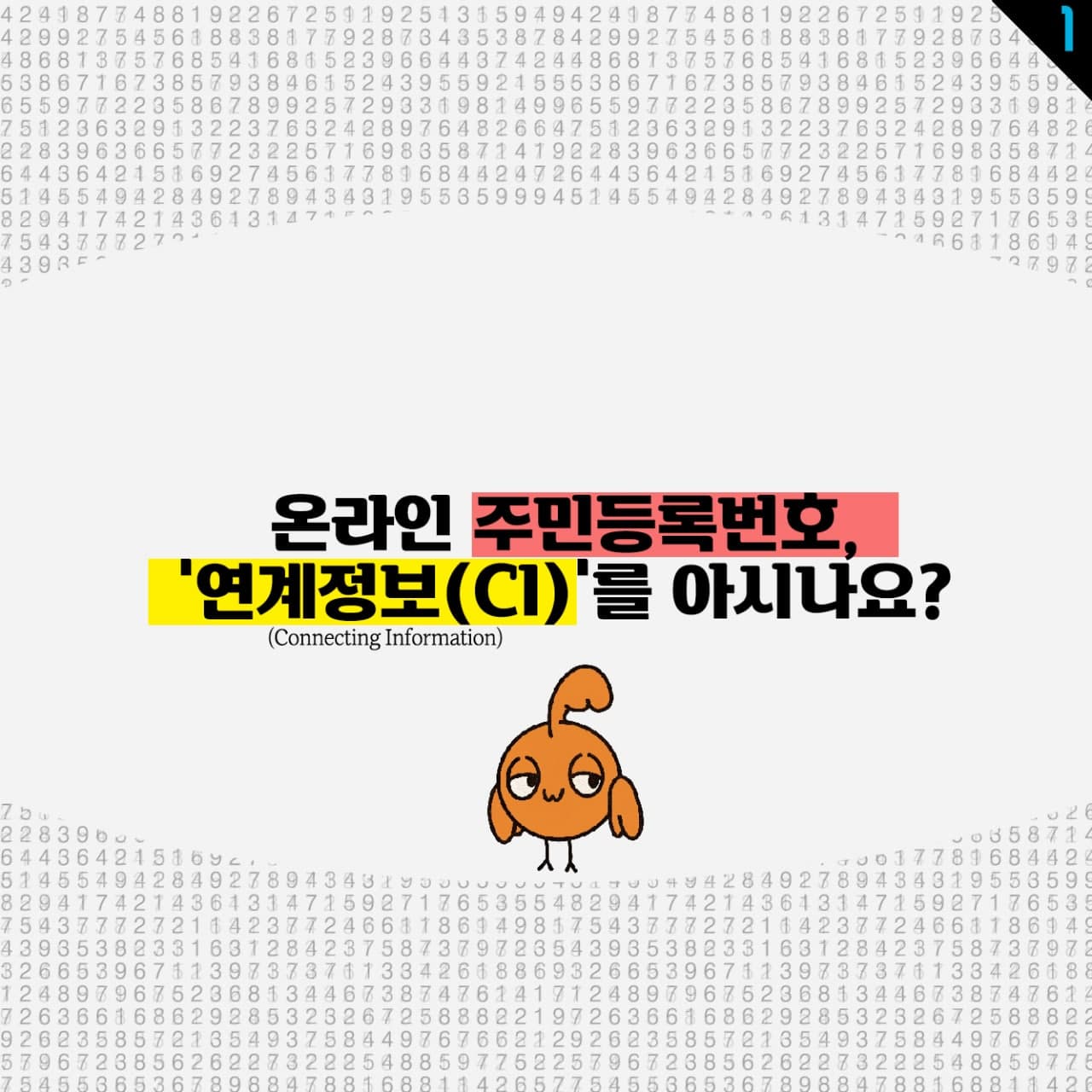 온라인 주민등록번호, '연계정보(CI)'를 아시나요?